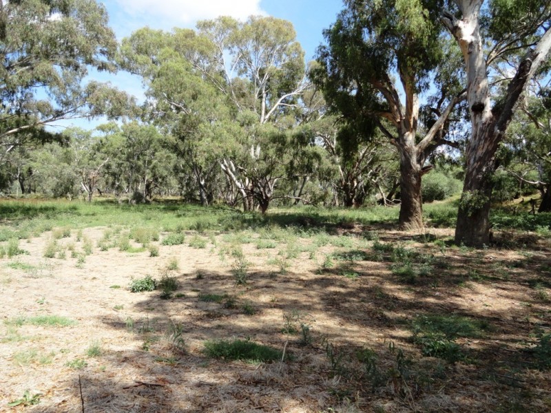 Lot 187 Walbundrie Road, Walla Walla NSW 2659