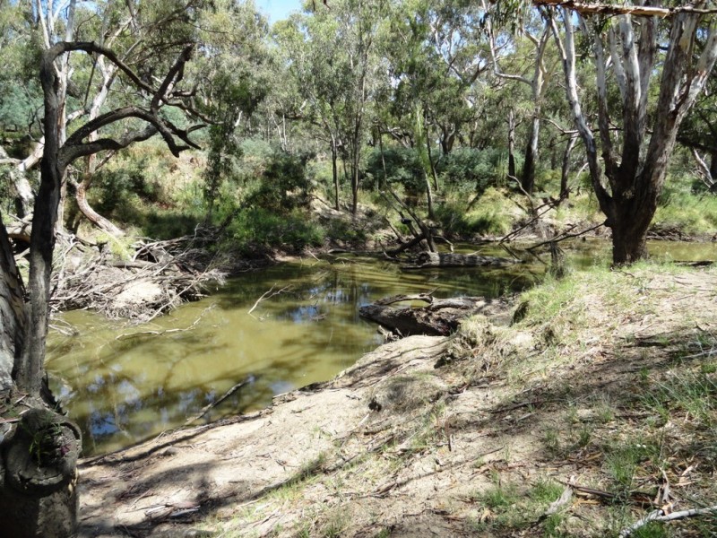 Lot 187 Walbundrie Road, Walla Walla NSW 2659