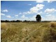 Lot 187 Walbundrie Road, Walla Walla NSW 2659