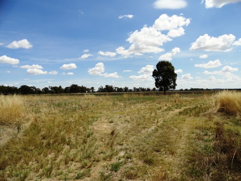 Lot 187 Walbundrie Road, Walla Walla NSW 2659
