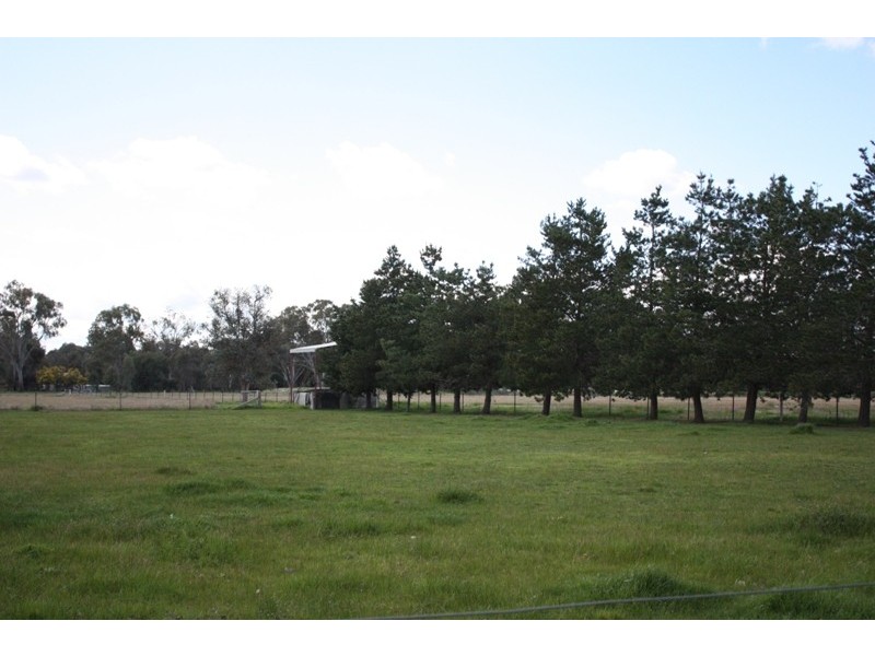 128 Glenellen Road, Jindera NSW 2642