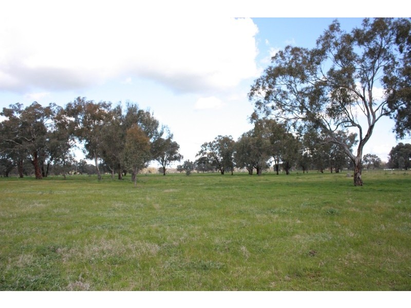 128 Glenellen Road, Jindera NSW 2642