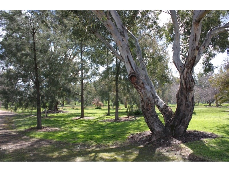 128 Glenellen Road, Jindera NSW 2642