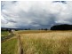617 Willigobung Road, Tumbarumba NSW 2653