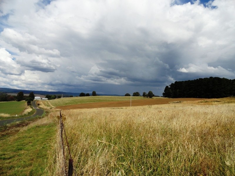 617 Willigobung Road, Tumbarumba NSW 2653