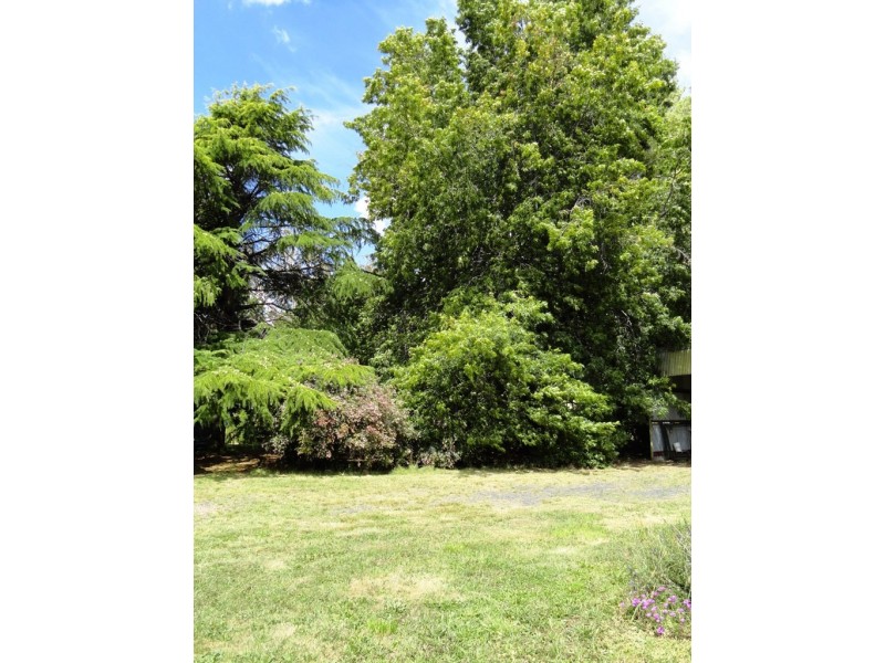 617 Willigobung Road, Tumbarumba NSW 2653