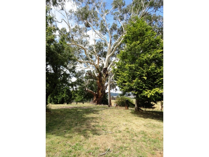 617 Willigobung Road, Tumbarumba NSW 2653