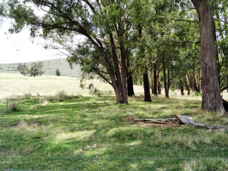 617 Willigobung Road, Tumbarumba NSW 2653