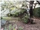 617 Willigobung Road, Tumbarumba NSW 2653