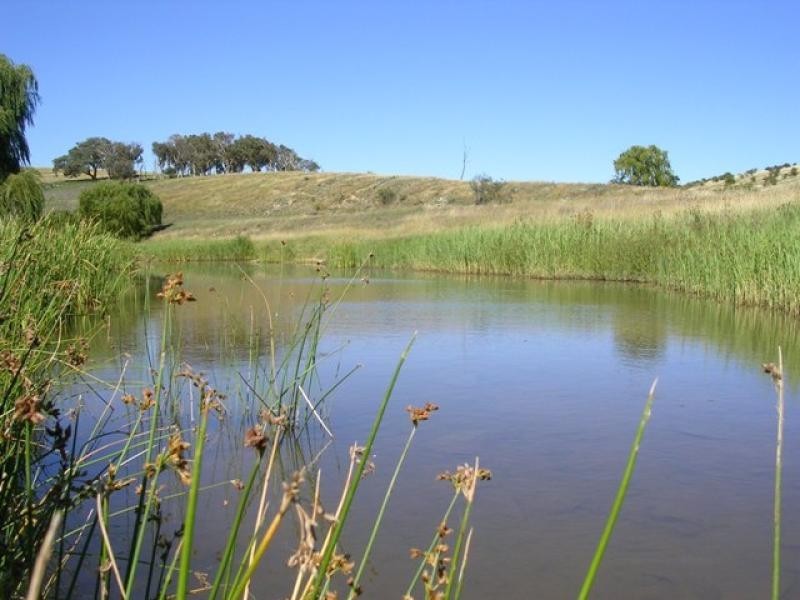 - Dalton Rd, Gunning NSW 2581