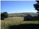 - Dalton Rd, Gunning NSW 2581