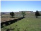 - Dalton Rd, Gunning NSW 2581