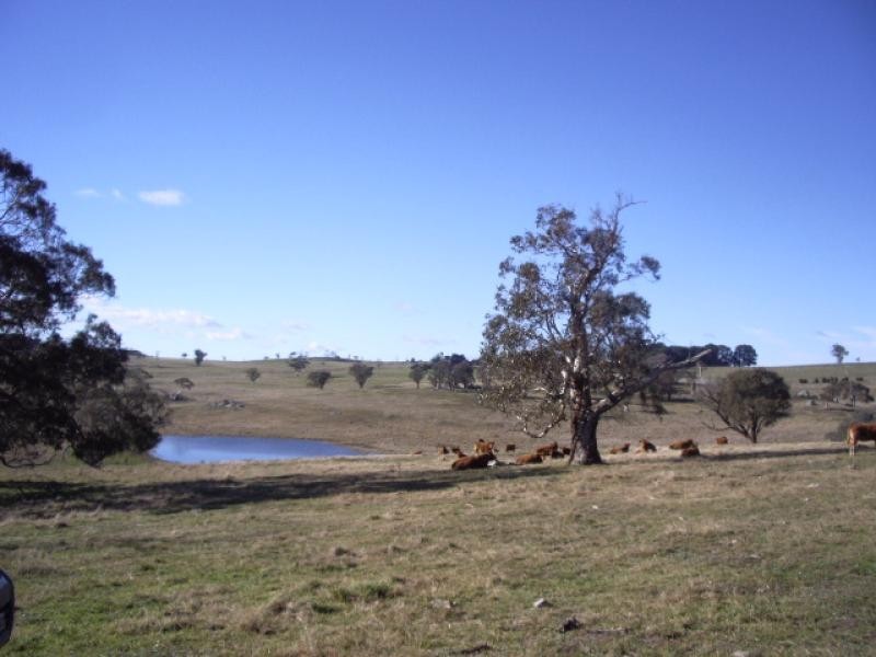 - Taralga Road, Crookwell NSW 2583