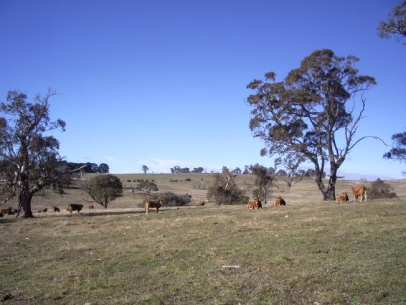 - Taralga Road, Crookwell NSW 2583