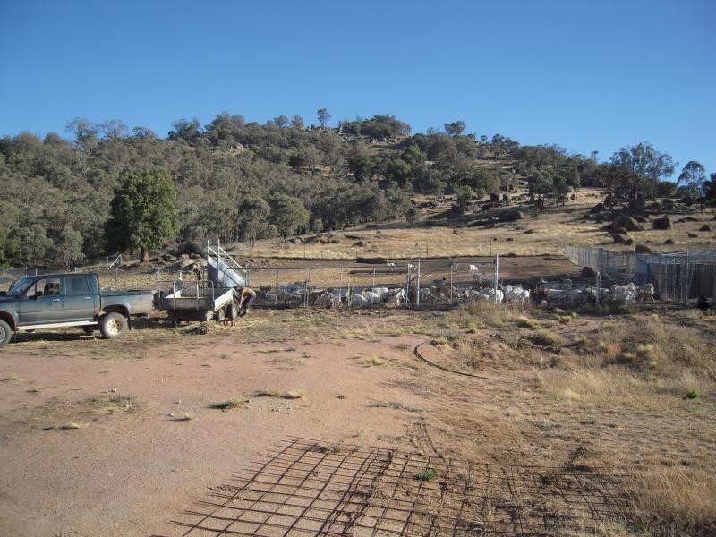 - Greenmantle Road, Bigga NSW 2583