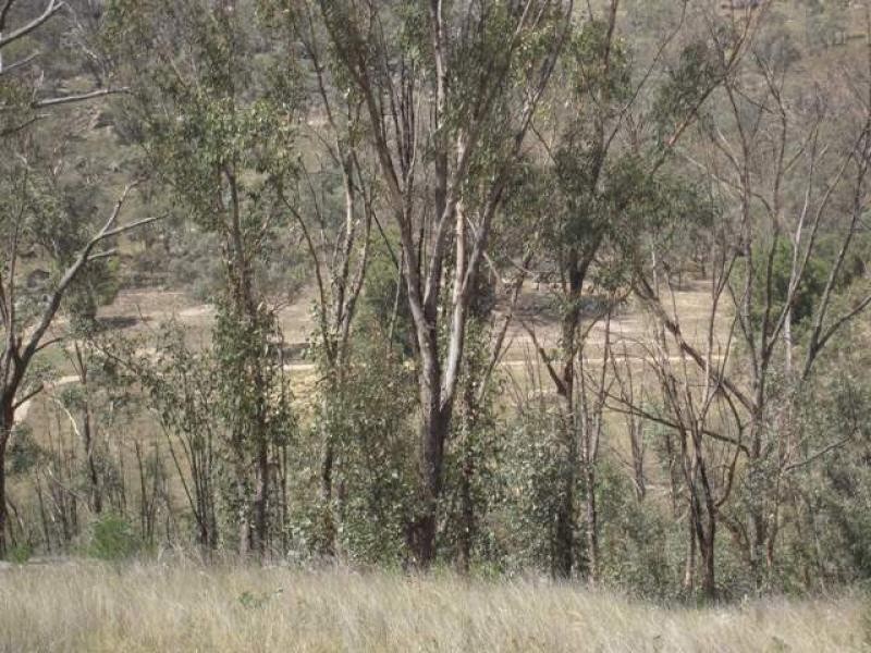 - Greenmantle Road, Bigga NSW 2583