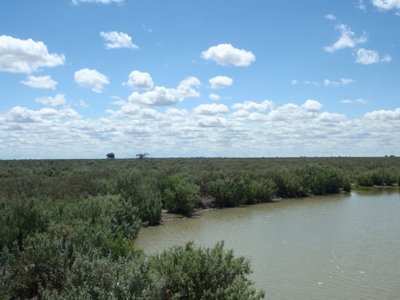 Yerrinbool and Kempsey, Hay NSW 2711