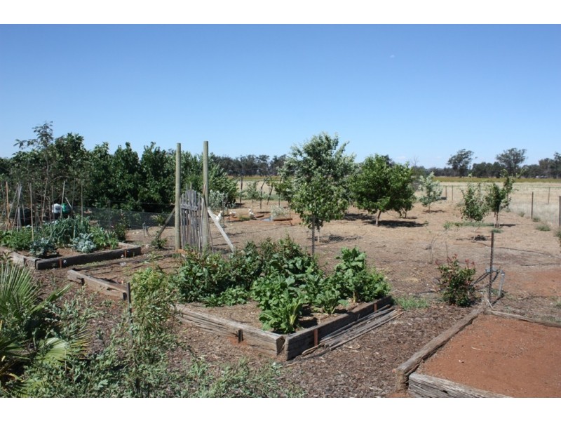 70 Ashbridge Road, Ganmain NSW 2702