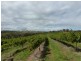 - Olympic Way, Young NSW 2594