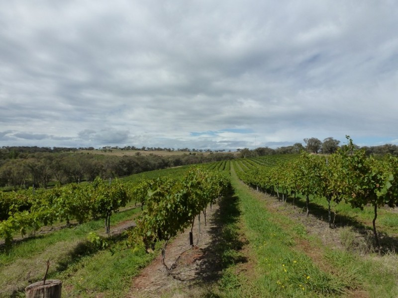 - Olympic Way, Young NSW 2594