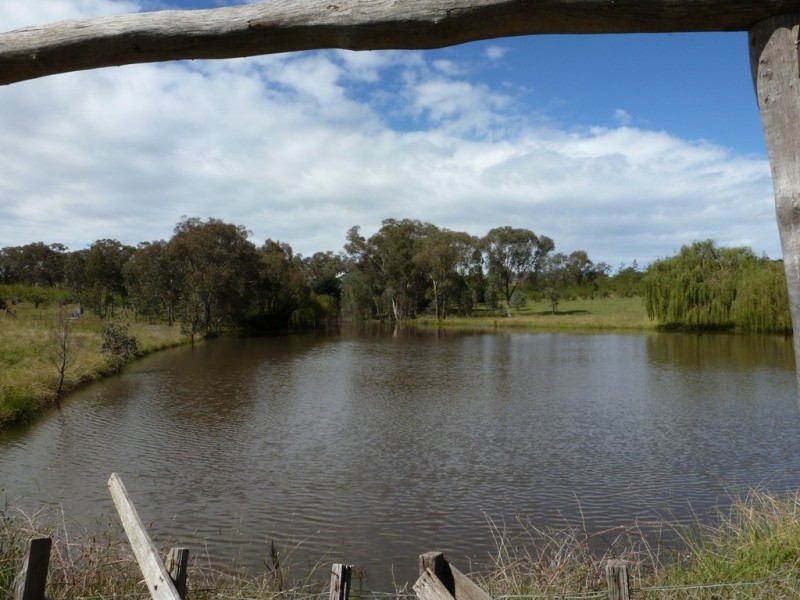 - Olympic Way, Young NSW 2594