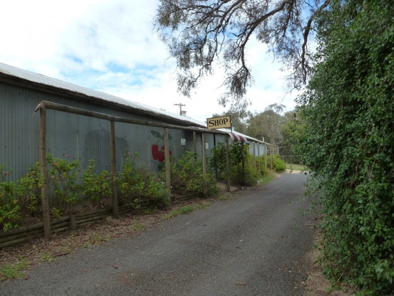 - Olympic Way, Young NSW 2594
