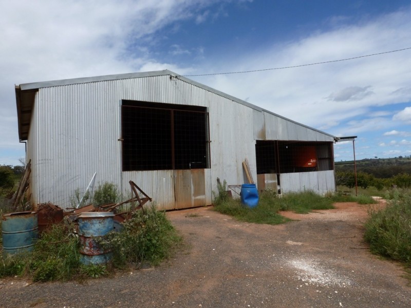 - Olympic Way, Young NSW 2594