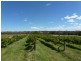 - Olympic Way, Young NSW 2594