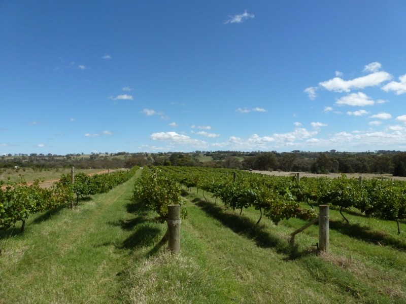- Olympic Way, Young NSW 2594