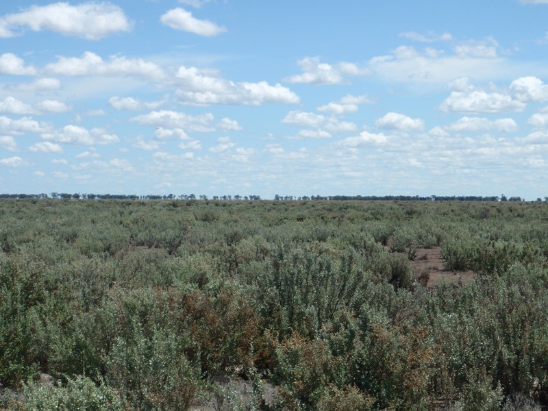 Yerrinbool and Kempsey, Hay NSW 2711