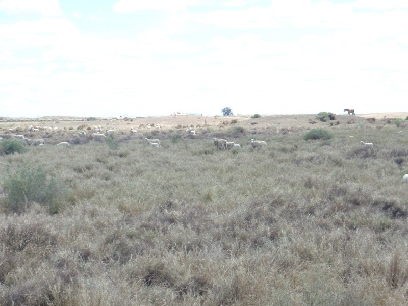 Yerrinbool and Kempsey, Hay NSW 2711