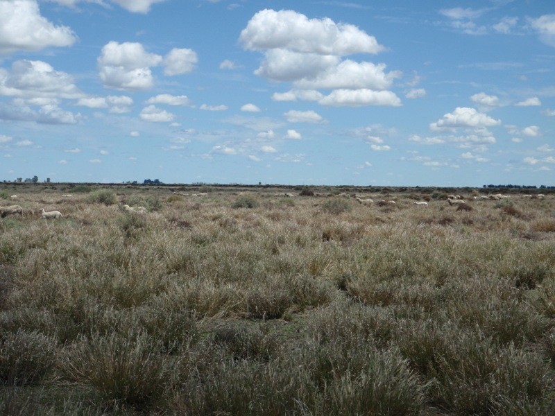 Yerrinbool and Kempsey, Hay NSW 2711