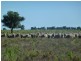 Gunbar NSW 2711