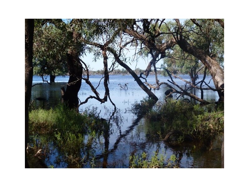 Gunbar NSW 2711