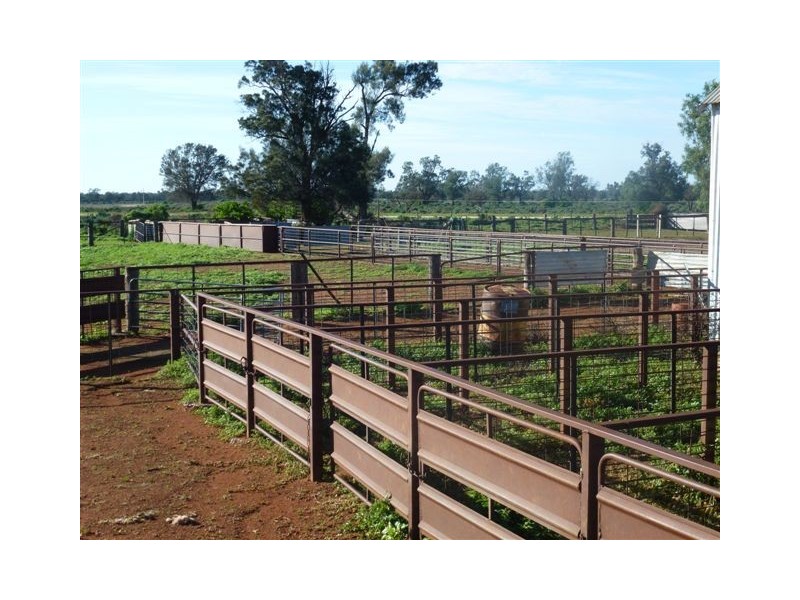 Gunbar NSW 2711