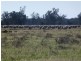 Gunbar NSW 2711