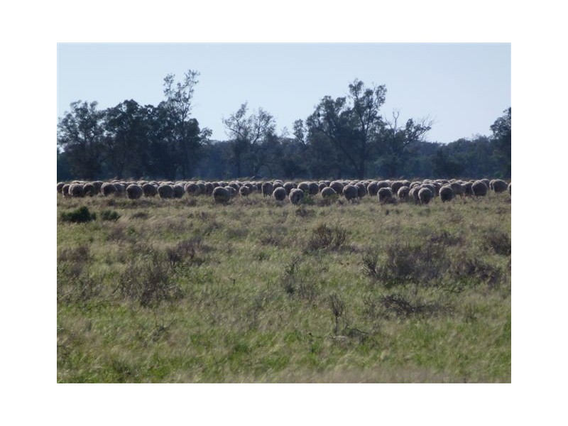 Gunbar NSW 2711