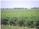 Yenda NSW 2681