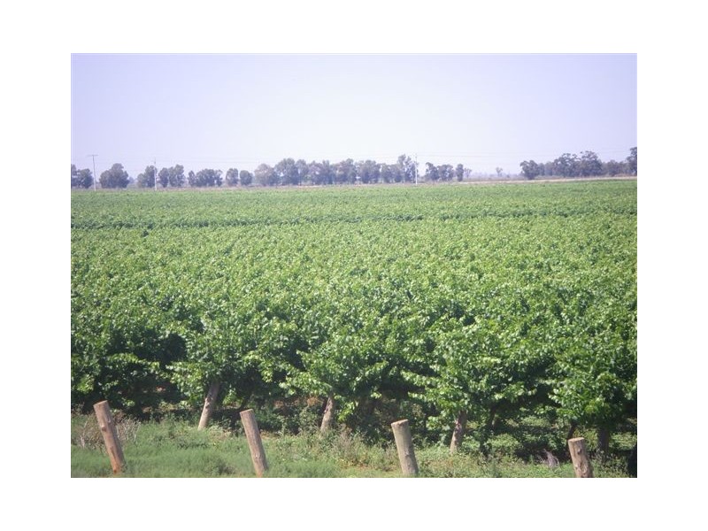 Yenda NSW 2681