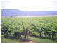 Yenda NSW 2681