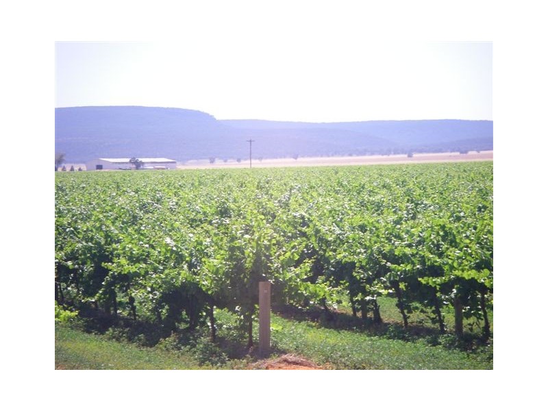 Yenda NSW 2681