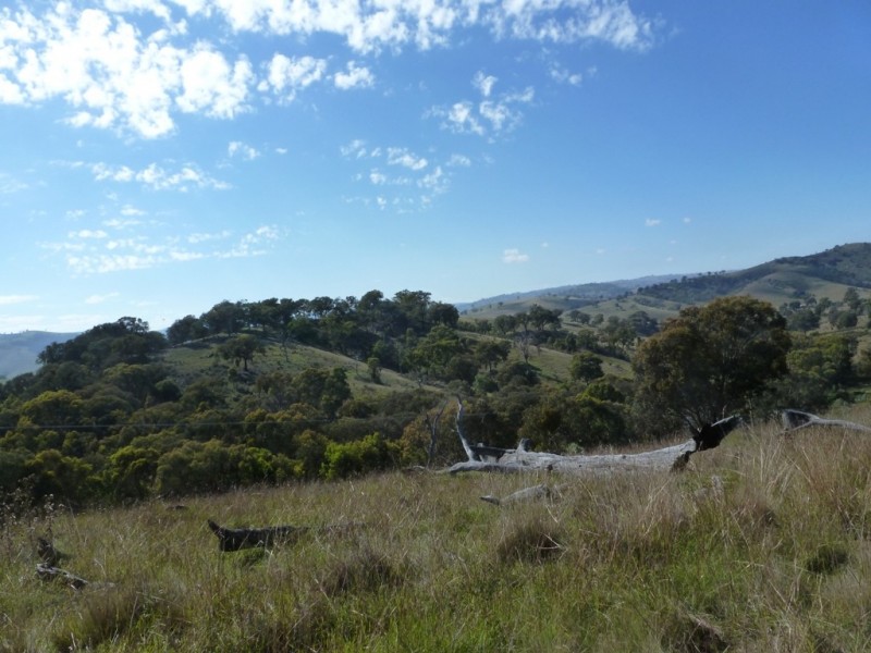 2974 Taylors Flat Road, Boorowa NSW 2586