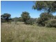 2974 Taylors Flat Road, Boorowa NSW 2586
