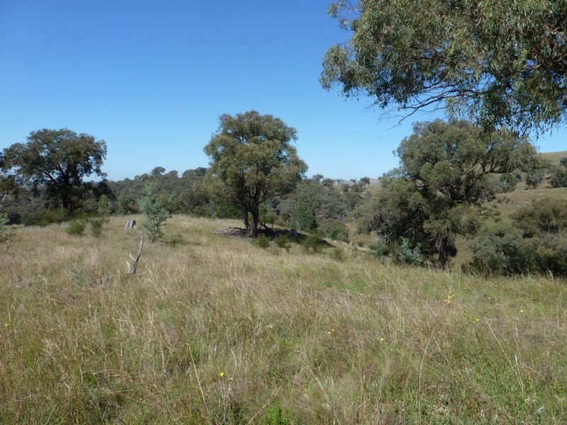 2974 Taylors Flat Road, Boorowa NSW 2586