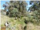 2974 Taylors Flat Road, Boorowa NSW 2586