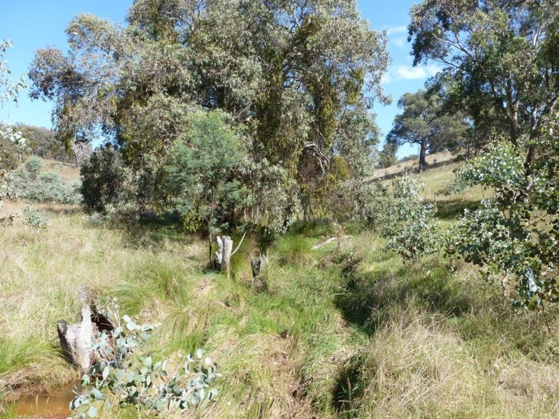 2974 Taylors Flat Road, Boorowa NSW 2586