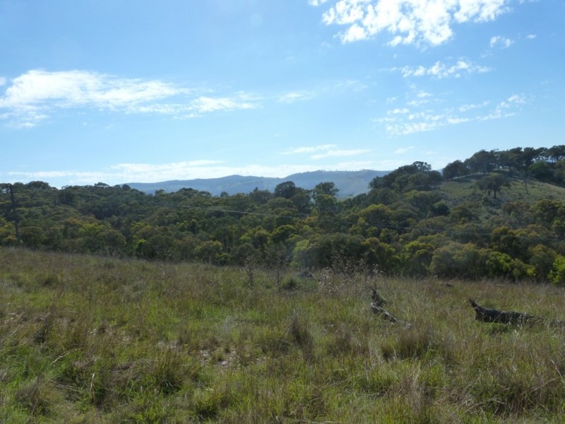 2974 Taylors Flat Road, Boorowa NSW 2586