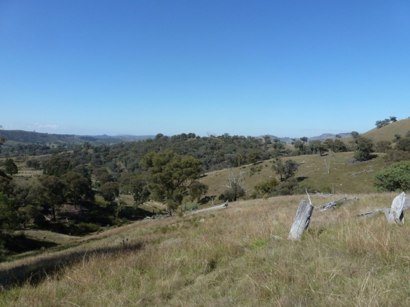 2974 Taylors Flat Road, Boorowa NSW 2586