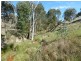 2974 Taylors Flat Road, Boorowa NSW 2586