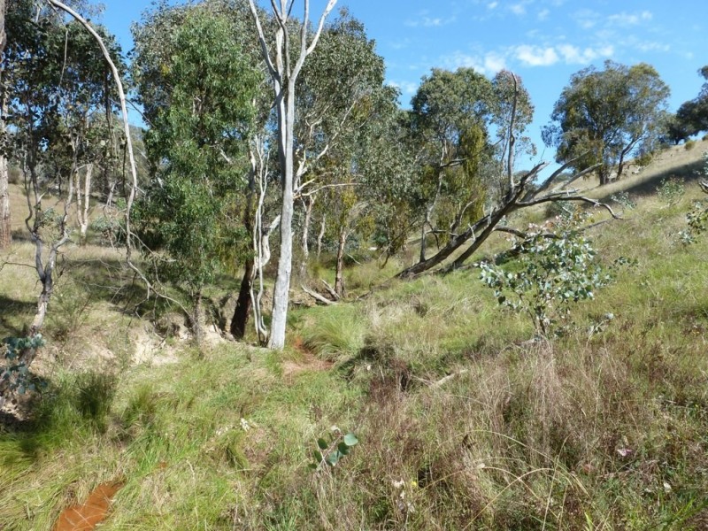 2974 Taylors Flat Road, Boorowa NSW 2586